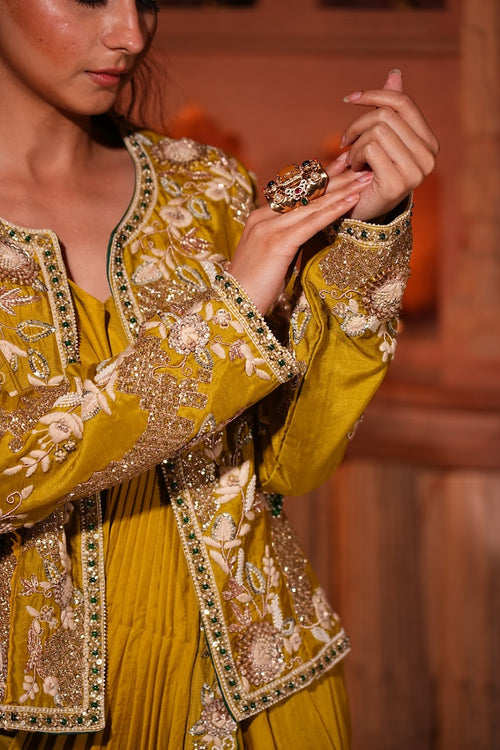 Celestial Charm Saree